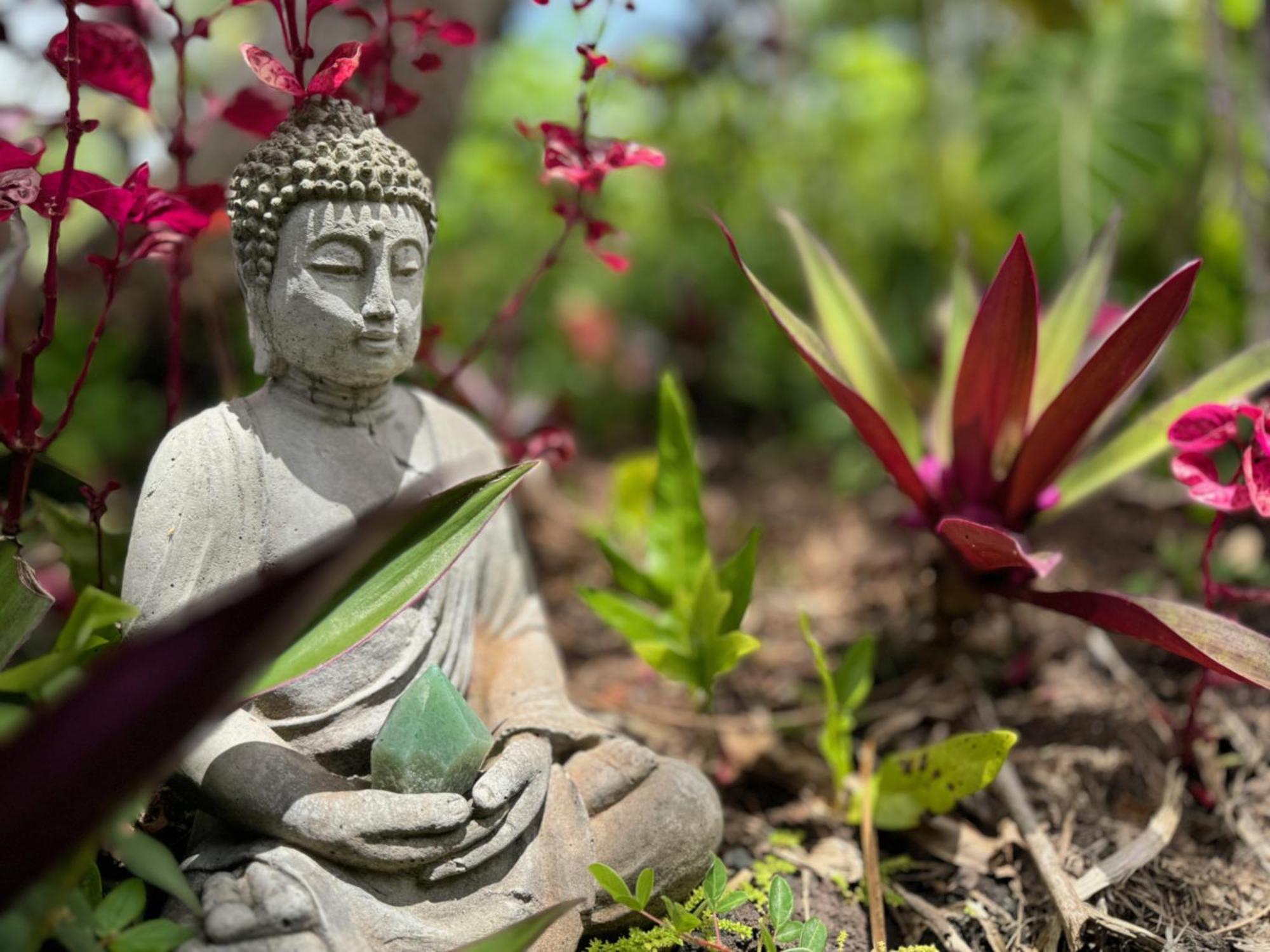 Tropical Zen Bungalow Pahoa Bagian luar foto