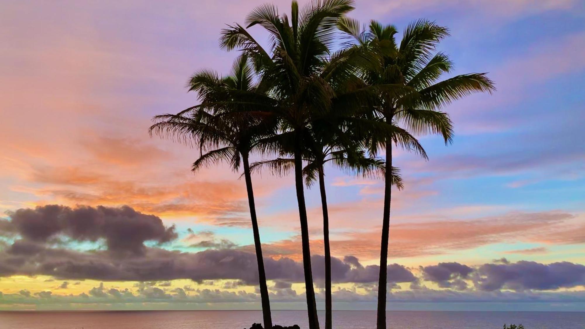 Tropical Zen Bungalow Pahoa Bagian luar foto