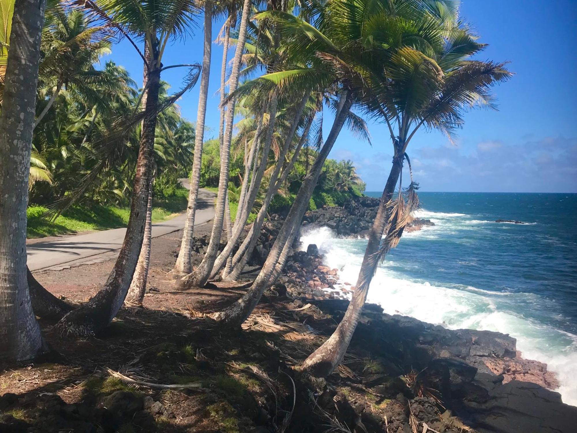 Tropical Zen Bungalow Pahoa Bagian luar foto